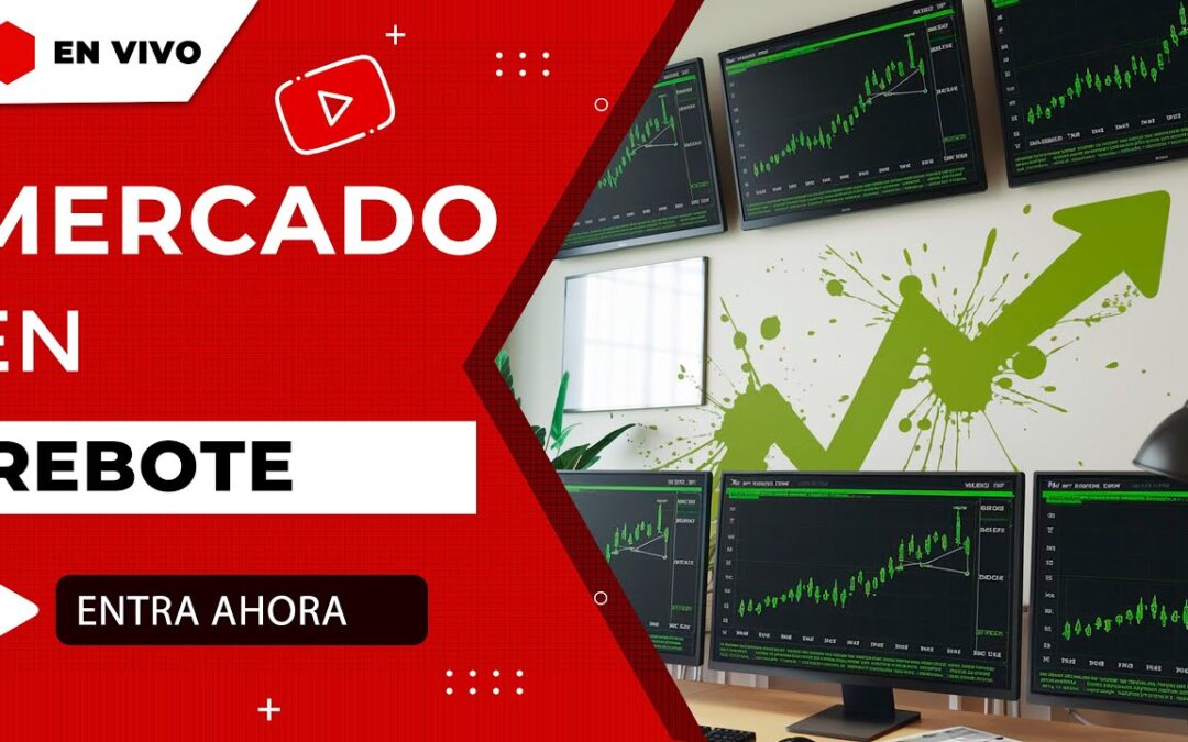 Envidia: A Potential Rebound on the Horizon?